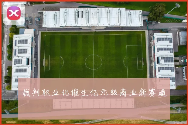 裁判职业化催生亿元级商业新赛道