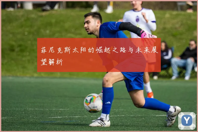 菲尼克斯太阳的崛起之路与未来展望解析