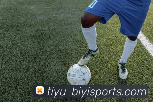 必一体育平台生态图